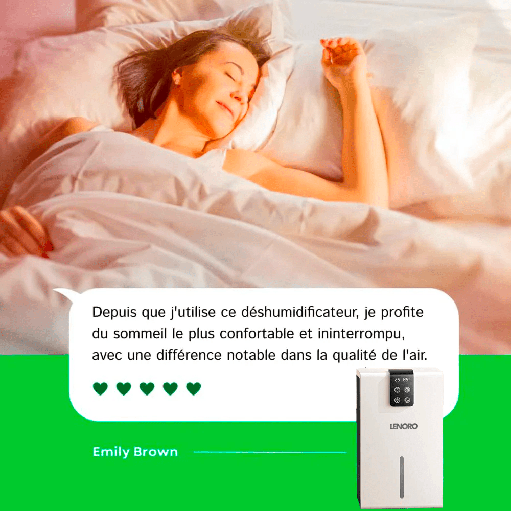 Purificateur d’air V1 Pro Lenoro - Lenoro FR